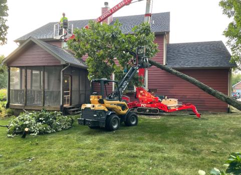 Image for T&T Tree Service with ID of: 6352743