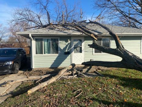 Image for T&T Tree Service with ID of: 6352795