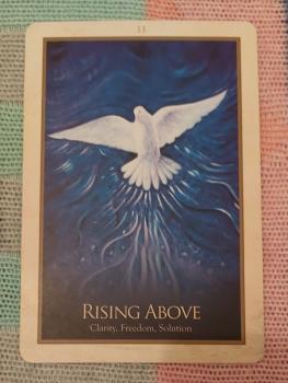 Image for Blissful Healing with Sansan with ID of: 6354517