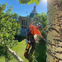 Image for Alberta Arborists with ID of: 6355214