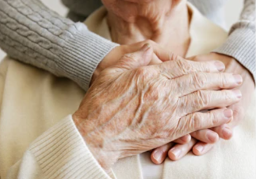 Image for Global Senior Care with ID of: 6355556