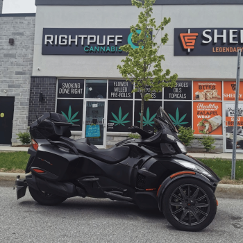 Image for Rightpuff Cannabis with ID of: 6357055