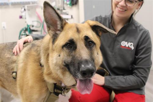 Image for OVG Urgent Care with ID of: 6357339