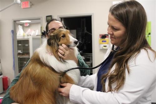 Image for OVG Urgent Care with ID of: 6357340