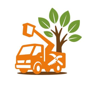 Image for Élagage d’Arbres à Charleroi – HAINAUT (6000) : Intervention Rapide et Sécurisée with ID of: 6792848