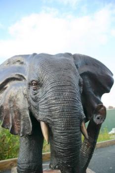 Image for Big Bronze with ID of: 6357825