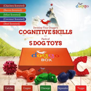 Image for Doggo Box Inc. with ID of: 6358234