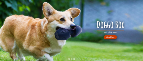 Image for Doggo Box Inc. with ID of: 6358235