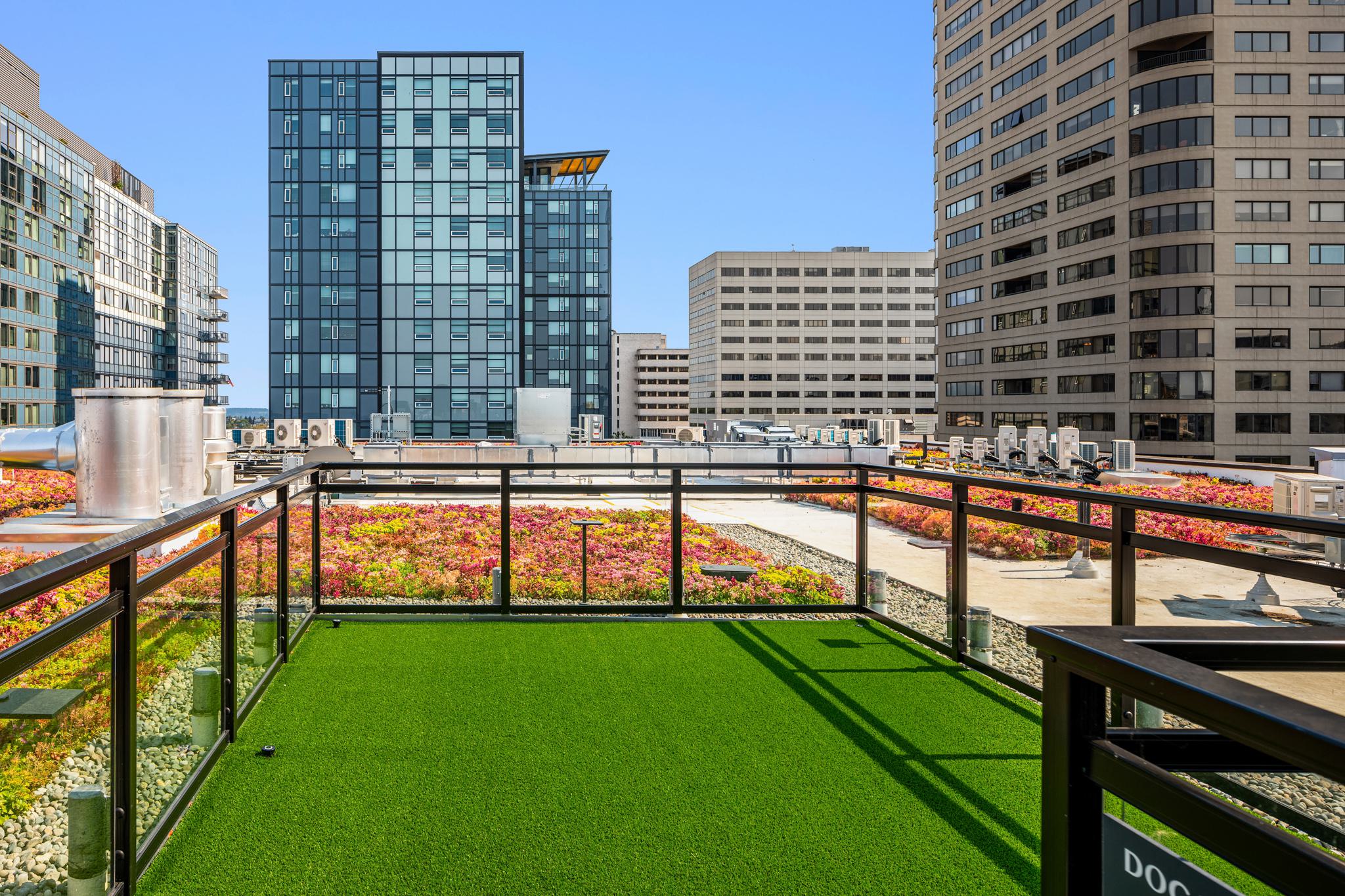 Image for The Victor Apartments with ID of: 6358757