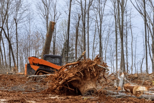 Image for Badger Dirtworx with ID of: 6360300