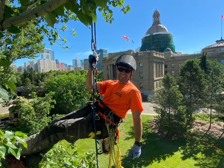 Image for Alberta Arborists with ID of: 6360391