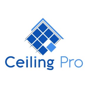 Image for Ceiling Pro with ID of: 6798410