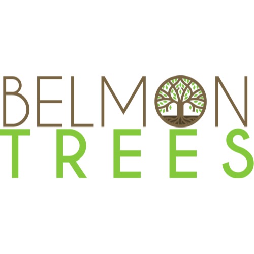 Image for Belmontrees LTD with ID of: 6798729