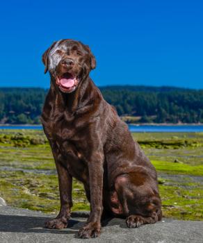 Image for Bob Vanderford Photography with ID of: 6363385