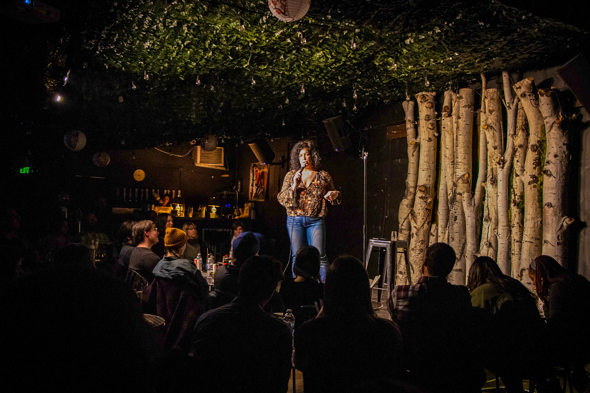 Image for Denver Comedy Lounge with ID of: 6363509