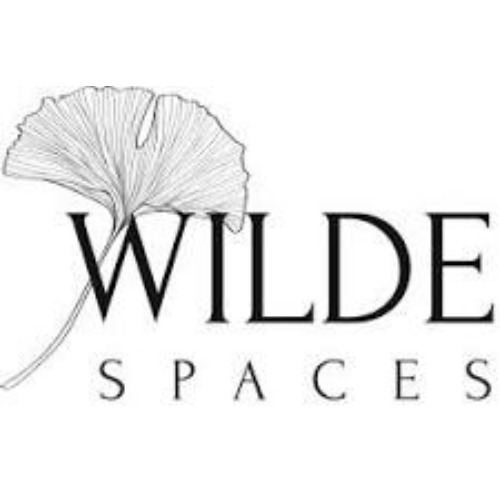 Image for Wilde Spaces with ID of: 6799723