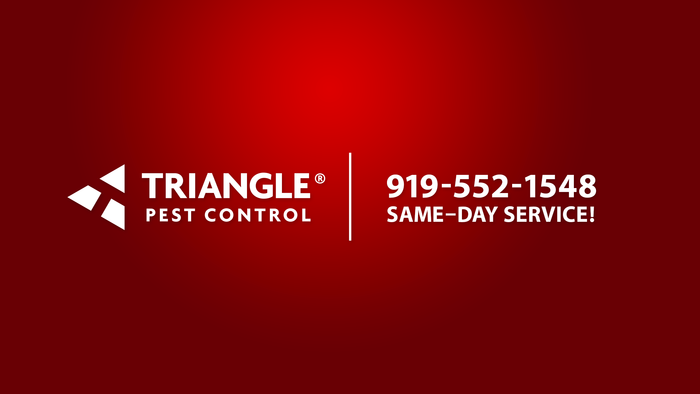 Image for Triangle Pest Control with ID of: 6364985