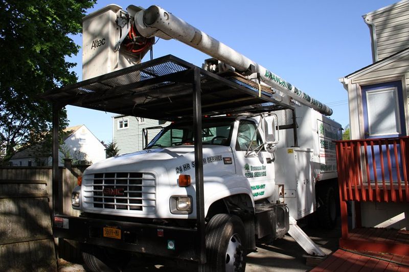 Image for Branching Out Tree Service with ID of: 6366057