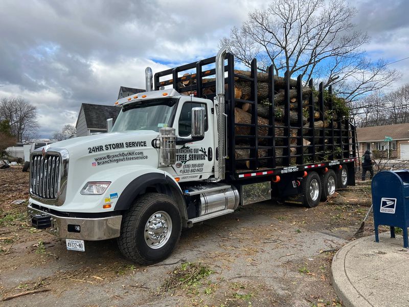 Image for Branching Out Tree Service with ID of: 6366061