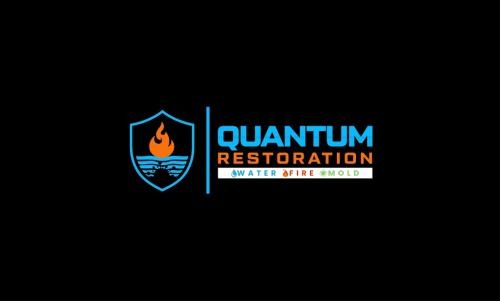 Image for Quantum Restoration with ID of: 6367073