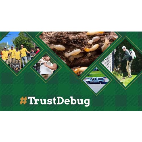 Image for Debug Pest Control with ID of: 6371394