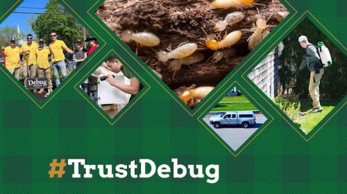 Image for Debug Pest Control with ID of: 6372280