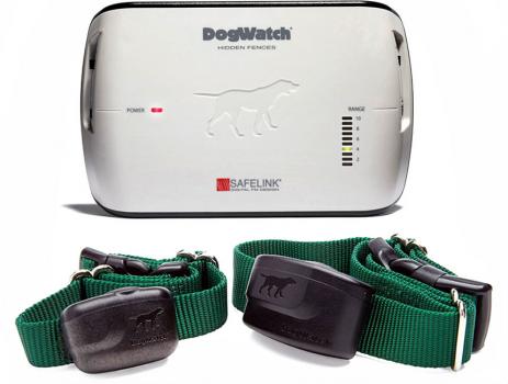 Image for Palmetto DogWatch with ID of: 6375801