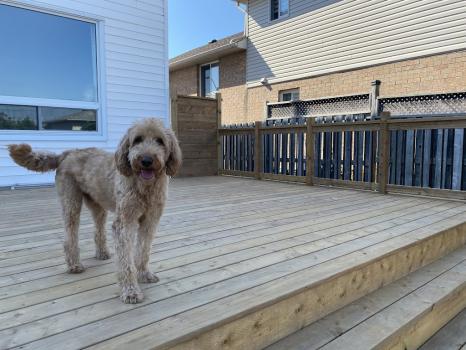 Image for Palatine Hill Contracting - Burlington with ID of: 6378890