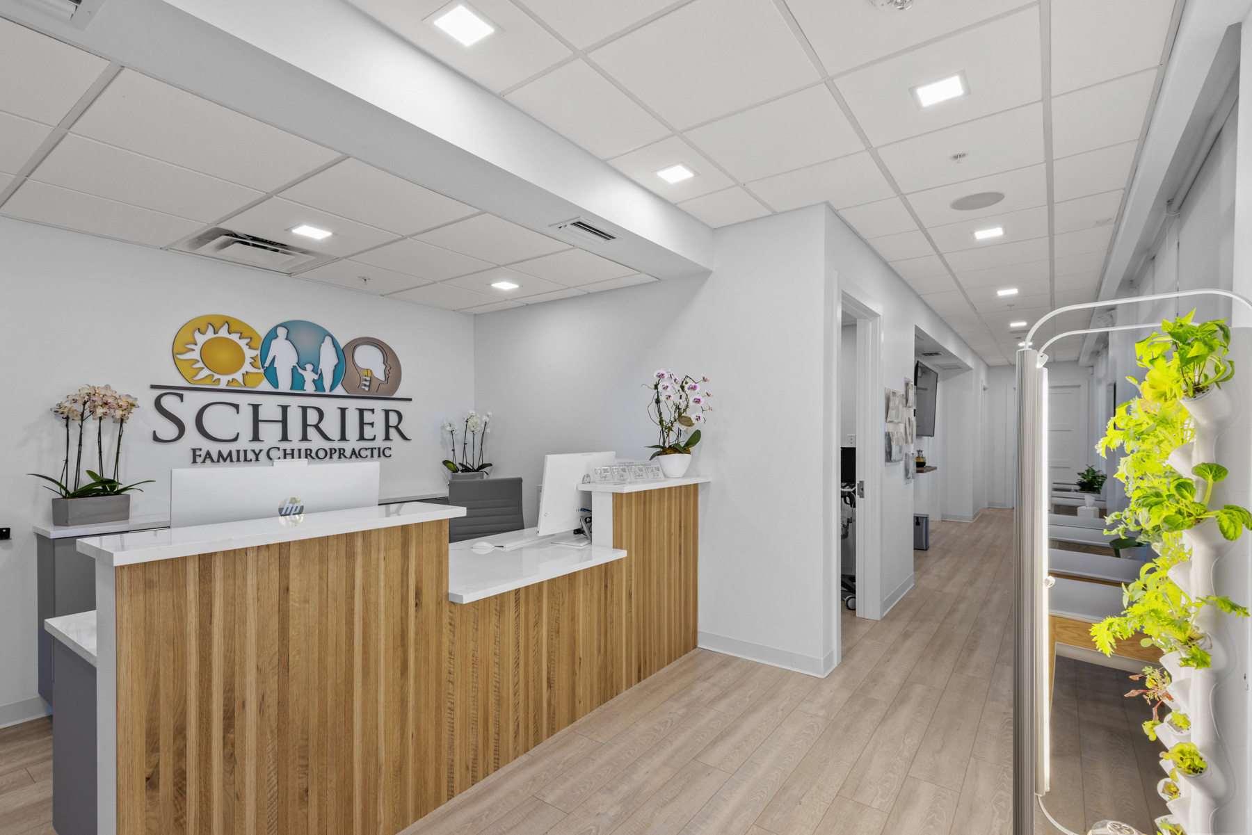 Image for Schrier Family Chiropractic with ID of: 6381441