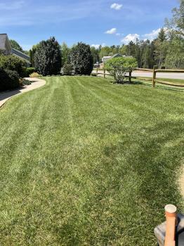Image for Crawford Lawn Care with ID of: 6383680