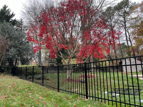 Image for Chesterfield Fencing and More, LLC with ID of: 6383887