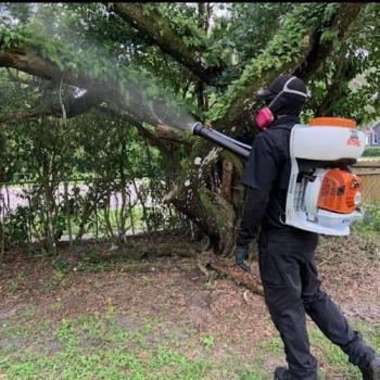 Image for Taps Pest Services with ID of: 6386399