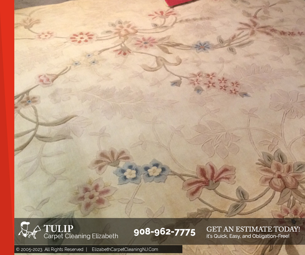 Image for Tulip Carpet Cleaning Elizabeth with ID of: 2572979