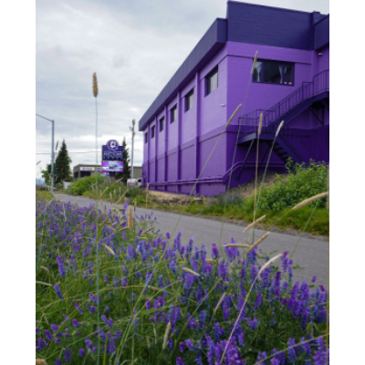 Image for Alaska Premier Auctions & Appraisals with ID of: 6388816