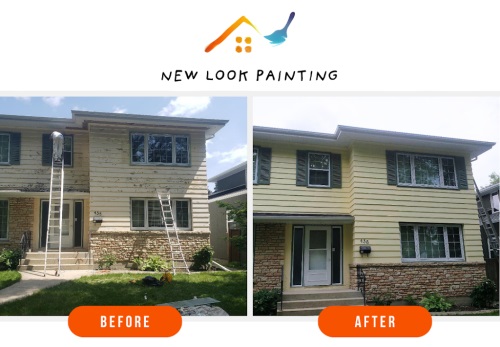 Image for New Look Painting with ID of: 6394920