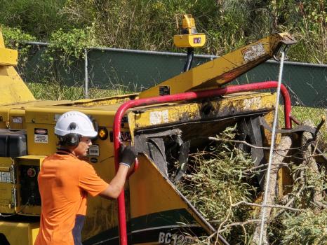 Image for The Tree Construction Company with ID of: 6395966