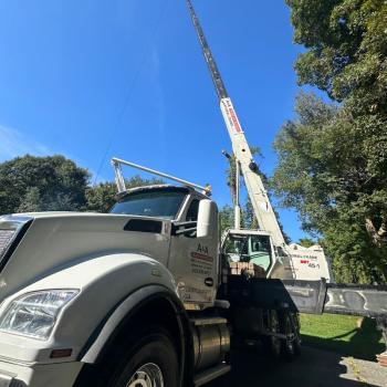 Image for SKJ Tree Removal with ID of: 6397250