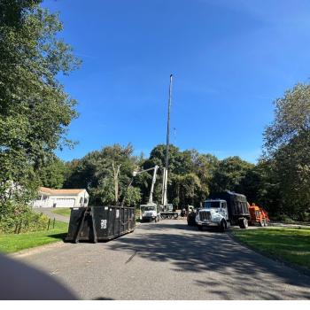 Image for SKJ Tree Removal with ID of: 6397251