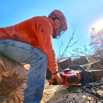 Image for SKJ Tree Removal with ID of: 6397252
