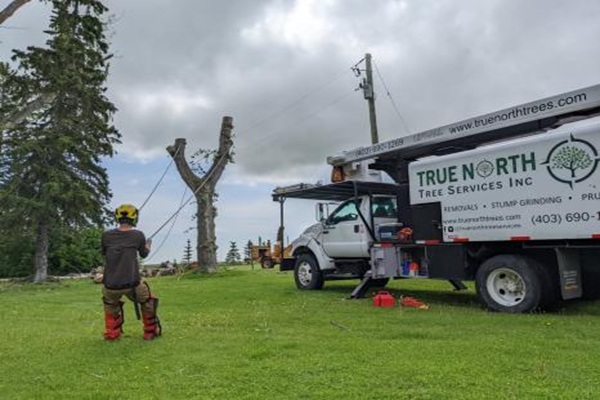 Image for True North Tree Services Inc. with ID of: 6397513