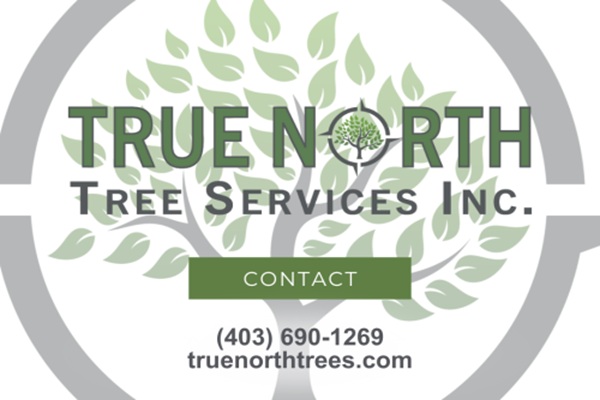 Image for True North Tree Services Inc. with ID of: 6397514