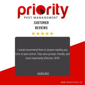Image for Priority Pest Management with ID of: 6397970