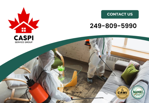 Image for Remediation & Testing Prosof Sudbury with ID of: 6399254