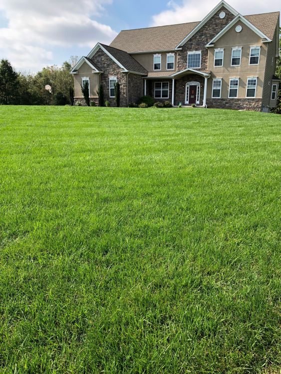 Image for Messina Lawn Care with ID of: 6400024
