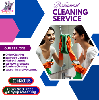 Image for Tidyups Cleaning Service Inc with ID of: 6402583