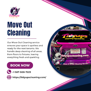 Image for Tidyups Cleaning Service Inc with ID of: 6402584