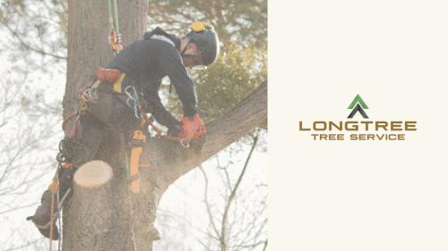 Image for Longtree Tree Service with ID of: 6403898