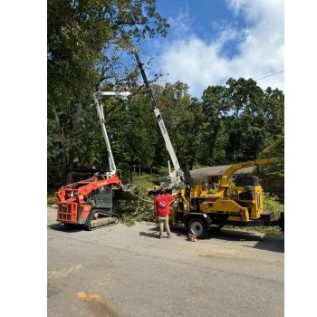 Image for Bark Busters Tree Service with ID of: 6404550