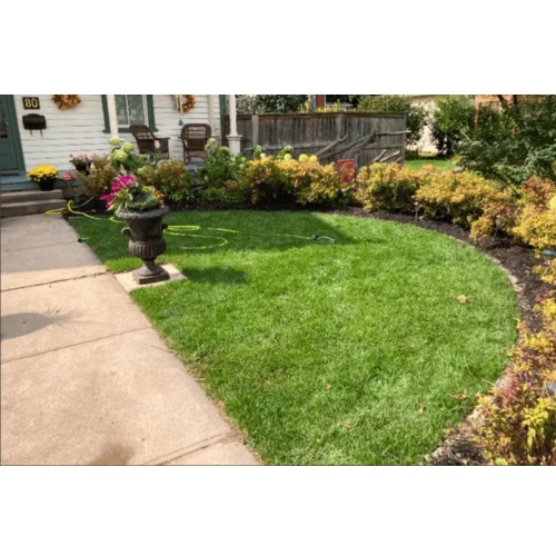 Image for Green Aces - Snow Removal & Landscaping - Kitchener & Waterloo with ID of: 6404875
