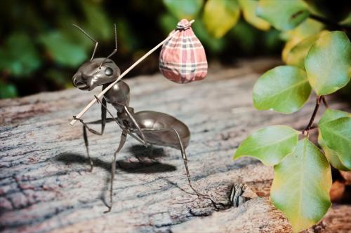 Image for Ready Pest Control with ID of: 6405390